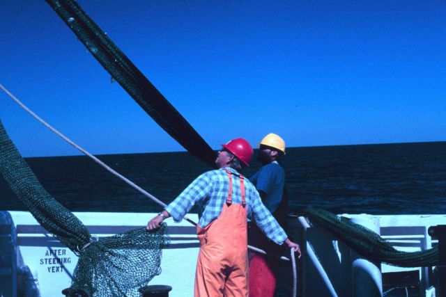Working on deck with nets and trawl gear Picture