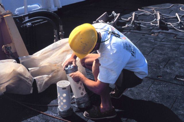 Checking captured material from Bongo net deployment Picture