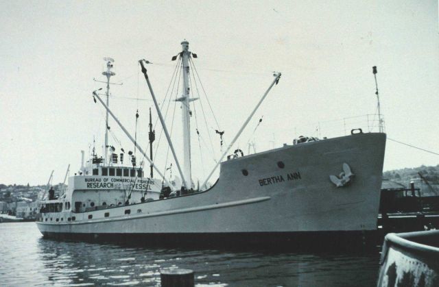 Chartered Bureau of Commercial FisheriesShip BERTHA ANN Picture