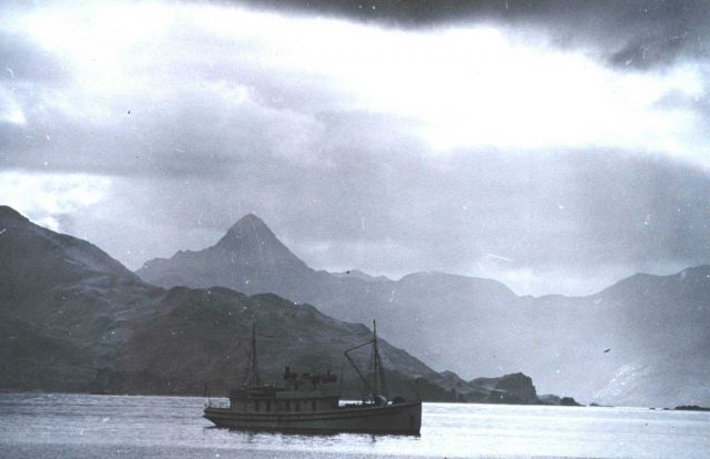 Fish and Wildlife Service Ship BROWN BEAR. Picture