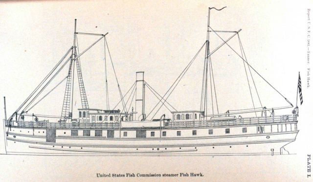 United States Fish Commission Steamer FISH HAWK Picture