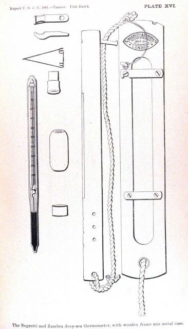 The Negretti and Zambra deep-sea thermometer with wooden frame and metal case Picture