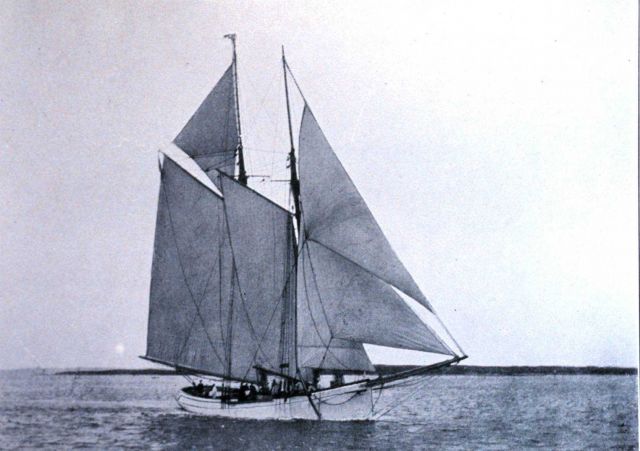 The Fish Commission Schooner GRAMPUS Picture