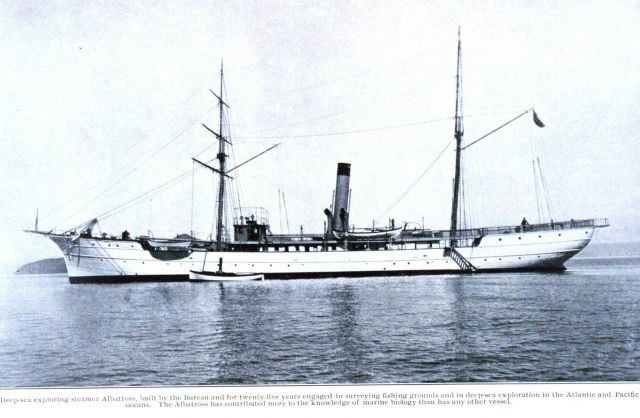 The Fish Commission Steamer ALBATROSS Picture