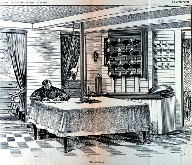 The steerage Picture