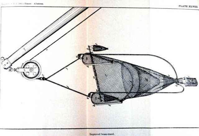Improved beam-trawl Picture