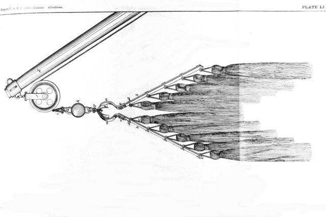The tangles Picture