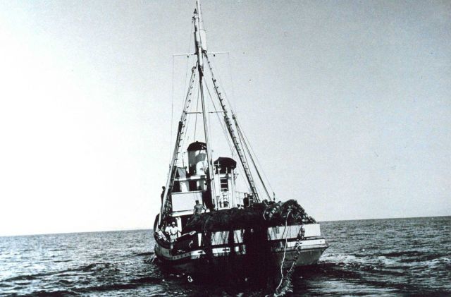 Start of purse seine set on the Fish and Wildlife Service Ship JOHN R Picture
