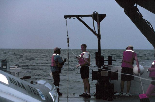 Long-line operations during shark studies on the NOAA Ship FERREL. Picture