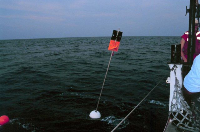 Marker buoy deployed from the NOAA Ship FERREL for long-line fishing during shark studies. Picture