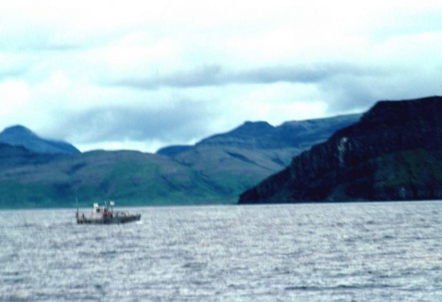 Survey launch in Puale Bay. Picture