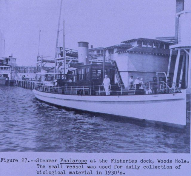 Steamer PHALAROPE at the Woods Hole fisheries laboratory dock Picture
