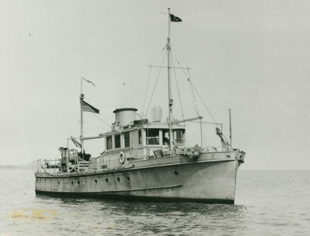 Coast and Geodetic Survey Ship WAINWRIGHT. Picture