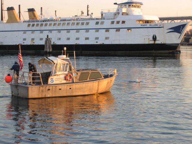 Survey launch leaving the ship early in the morning. Picture