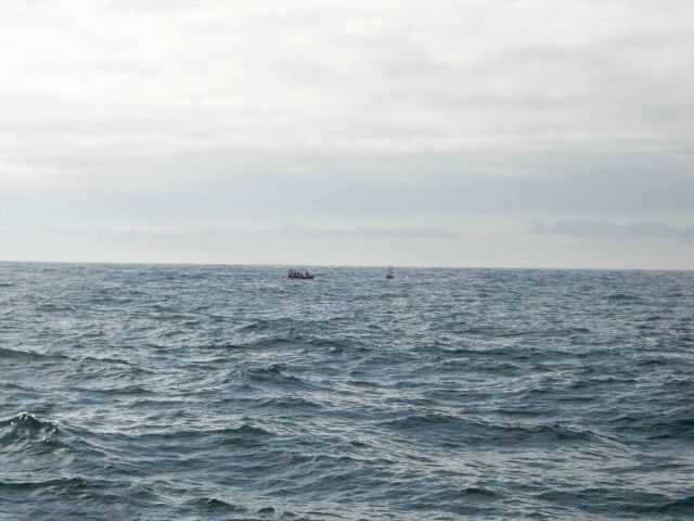 Tsunami warning buoy recovery Picture