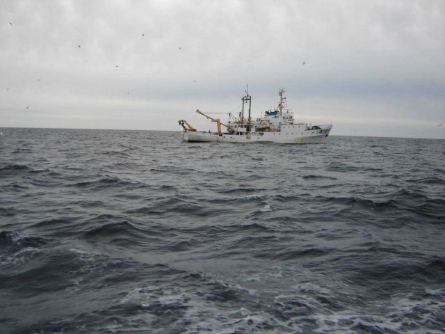 NOAA Ship ALBATROSS IV on Georges Bank. Picture