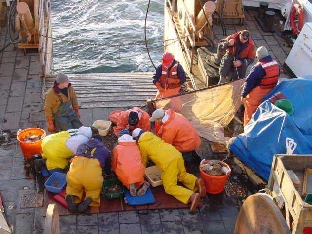 Scientists and curious crew inspect treasures from the deep brought up by a bottom trawl on the NOAA Ship DELAWARE II. Picture