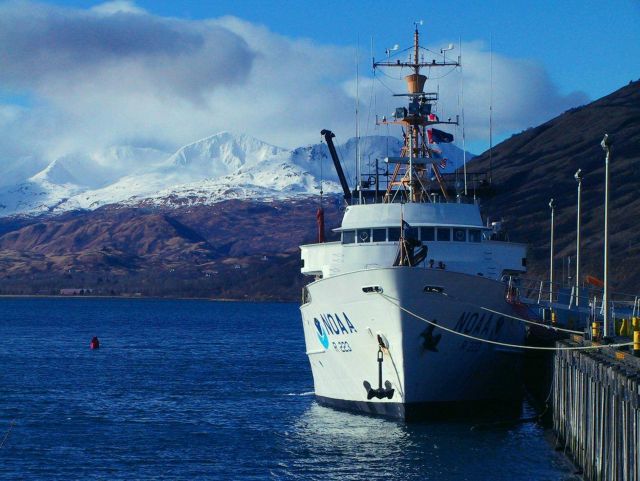 NOAA Ship MILLER FREEMAN getting ready for acoustic trawl survey, bow view. Picture