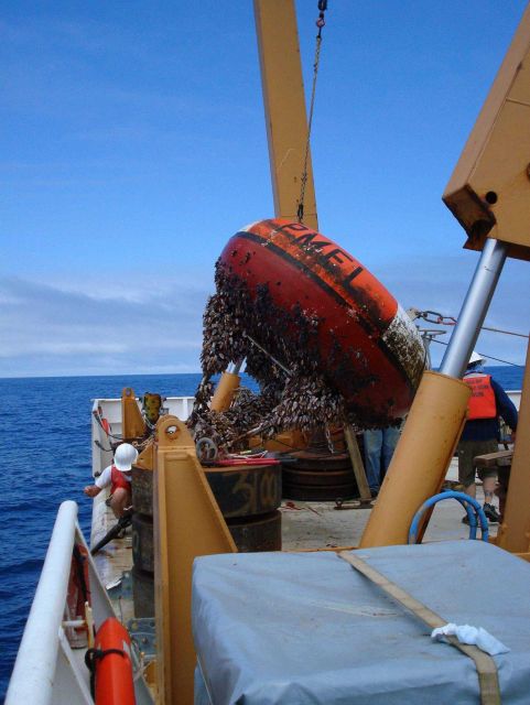 Recovering TAO buoy Picture