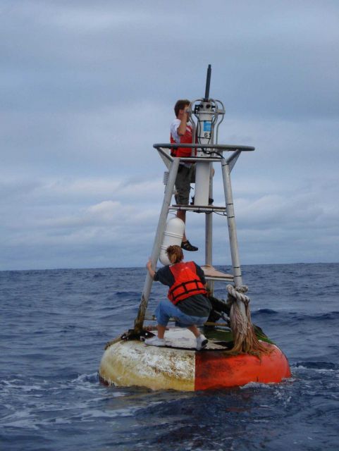TAO buoy riders Picture