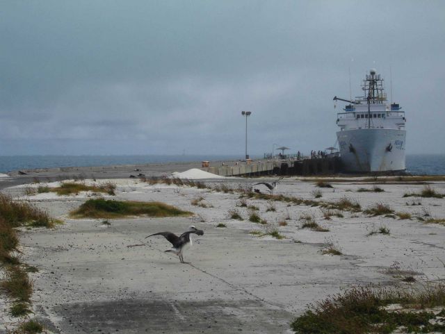 NOAA Ship OSCAR ELTON SETTE Picture