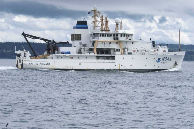 NOAA Ship BELL SHIMADA Picture