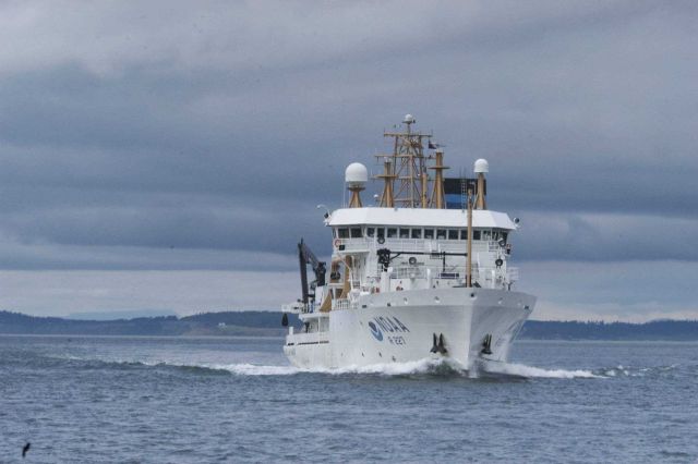 NOAA Ship BELL SHIMADA Picture