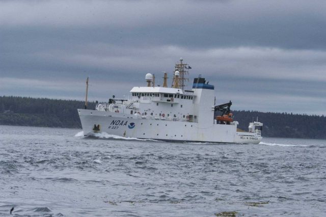 NOAA Ship BELL SHIMADA Picture