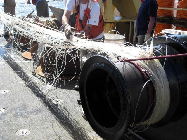 Unraveling tangled derelict longline monofilament fishing line from scientific gear on the OSCAR ELTON SETTE. Picture