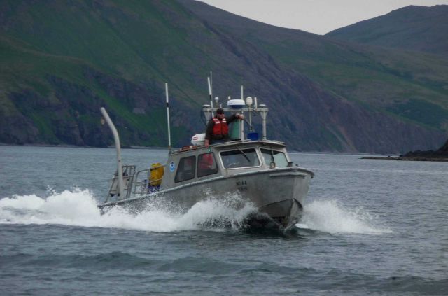 Survey launch RA-1 underway in the Pavlof Islands. Picture