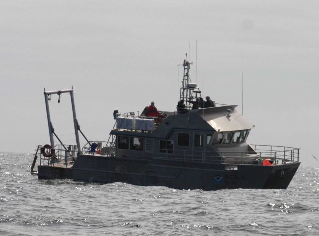 Stellwagen Bank National Marine Sanctuaries Vessel AUK. Picture
