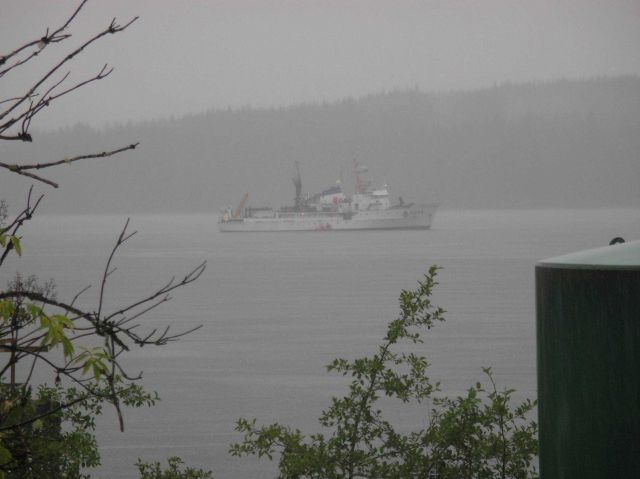 NOAA Ship MILLER FREEMAN starboard side seen offshore in the fog Picture