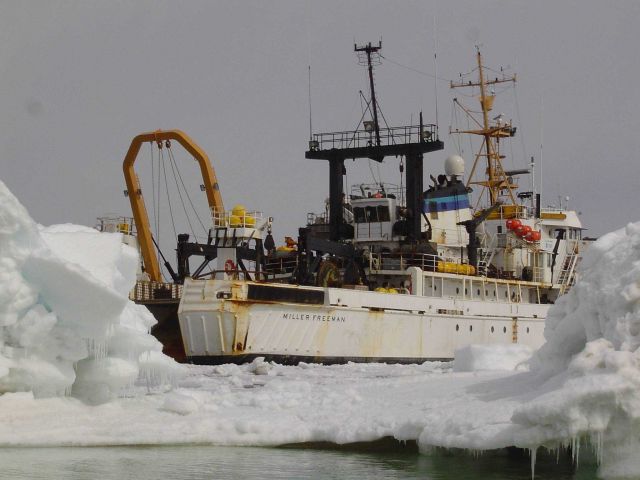 NOAA Ship MILLER FREEMAN seen in Bering Sea ice. Picture