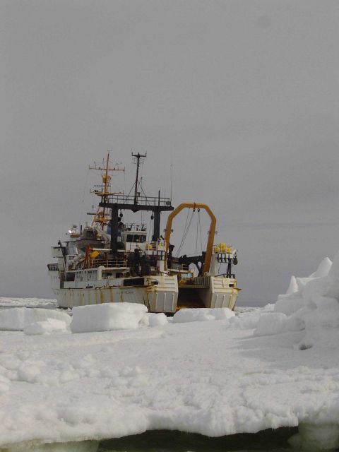 NOAA Ship MILLER FREEMAN seen in Bering Sea ice. Picture