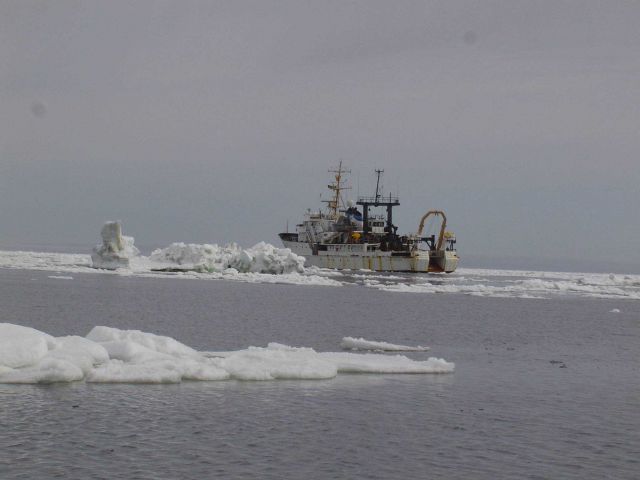 NOAA Ship MILLER FREEMAN seen in Bering Sea ice. Picture