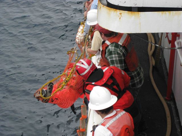 Water rescue drill on NOAA Ship MILLER FREEMAN. Picture
