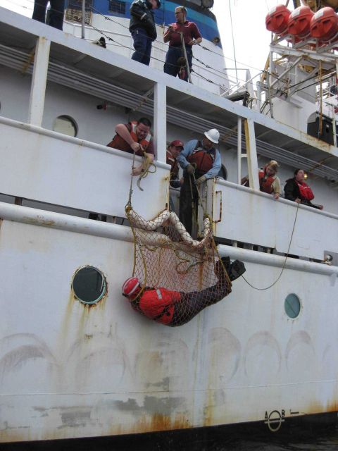 Water rescue drill on NOAA Ship MILLER FREEMAN. Picture