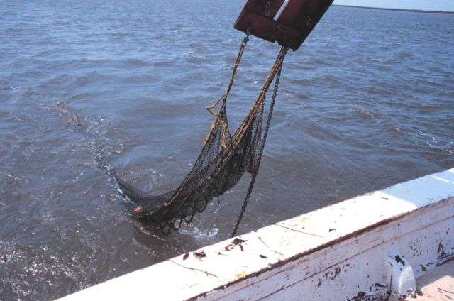 South Carolina Department of Natural Resources Vessel ANITA. Picture