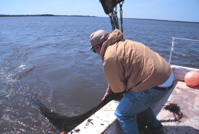 South Carolina Department of Natural Resources Vessel ANITA. Picture