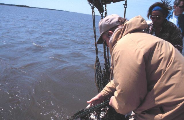 South Carolina Department of Natural Resources Vessel ANITA. Picture