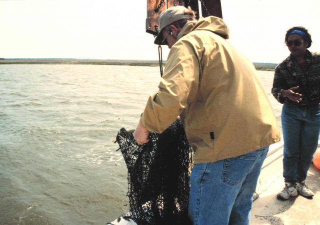 South Carolina Department of Natural Resources Vessel ANITA. Picture
