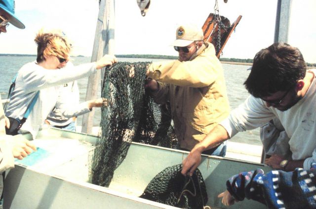 South Carolina Department of Natural Resources Vessel ANITA. Picture