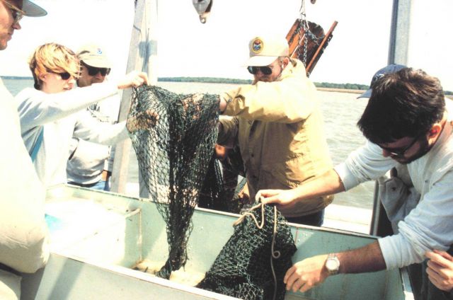 South Carolina Department of Natural Resources Vessel ANITA. Picture