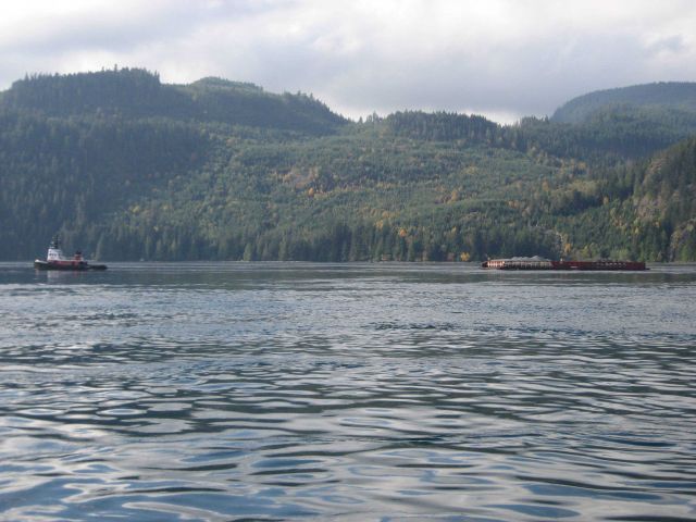 Tug and tow in the Inside Passage on the NE side of Vancouver Island. Picture