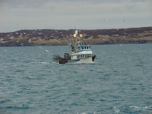 The CASTLE CAPE, a small multi-purpose fishing vessel. Picture