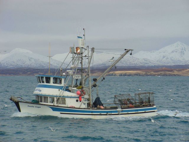 The CASTLE CAPE, a small multi-purpose fishing vessel. Picture