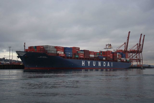 Containership HYUNDAI LONG BEACH working cargo in Seattle Picture