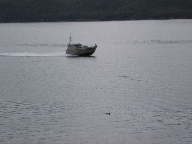 High-bowed skiff Picture