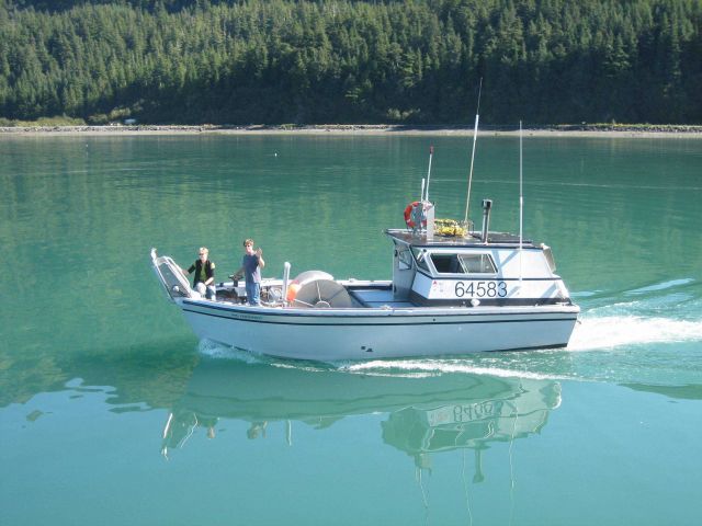 Small salmon seiner Picture