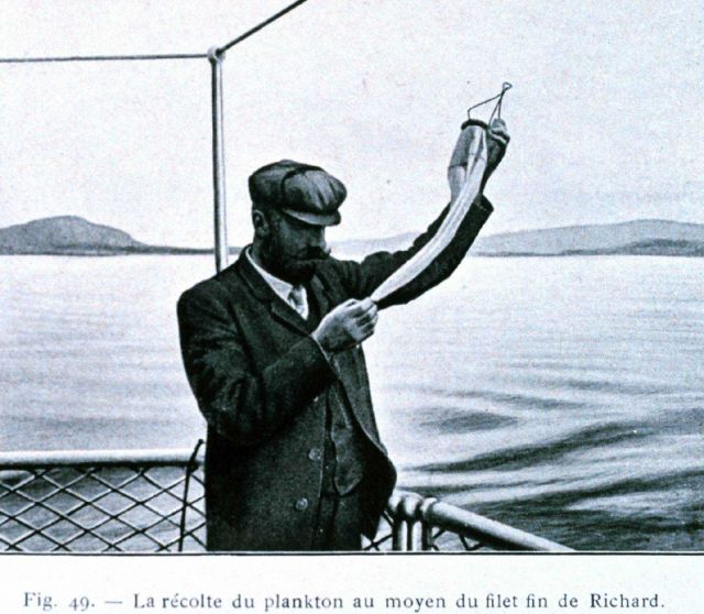 Inspecting a small plankton net Picture